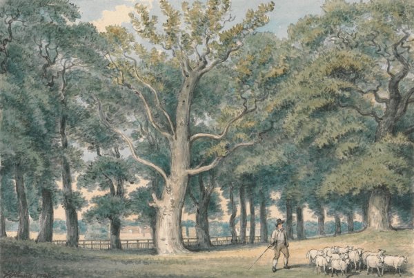 Main Product Photo of A Park Landscape with Shepherd and Sheep  Painting by Samuel Howitt