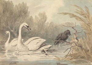 A Raven and Two Swans by Samuel Howitt Oil Painting