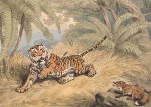 A Tiger Pierced with an Arrow Oil painting by Samuel Howitt