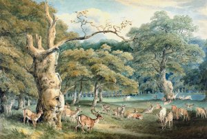 Hearne's Oak, Windsor Forest by Samuel Howitt Oil Painting