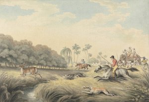 Hunting a Hog-Deer by Samuel Howitt Oil Painting