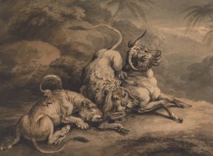 Lion and Lioness Attacking a Steer by Samuel Howitt Oil Painting