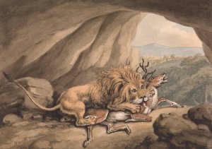 Lion Attacking a Stag by Samuel Howitt Oil Painting