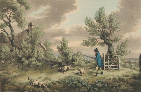 Main Product Photo of Partridge Shooting  Painting by Samuel Howitt