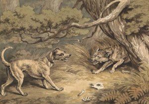 The Dog and the Wolf by Samuel Howitt Oil Painting