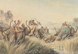 The Tiger at Bay by Samuel Howitt Oil Painting