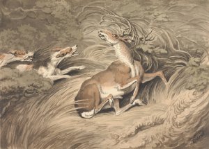 Two Hounds Attacking a Stag at Bay by Samuel Howitt Oil Painting