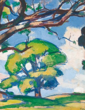 Trees, Douglas Hall by Samuel John Peploe Oil Painting