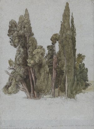 The Cypresses at the Villa d'Este, Tivoli by Samuel Palmer Oil Painting