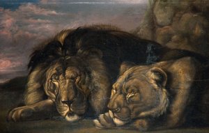 Sleeping Lion and Lioness by Samuel Raven Oil Painting