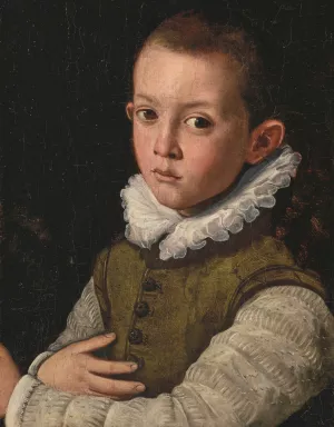 Portrait of a young boy by Santi Di Tito Oil Painting