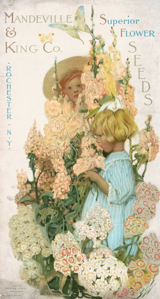 Mandeville and King Co., superior flower seeds  by Sarah Stilwell Weber - Hand-Painted Oil Painting Reproduction