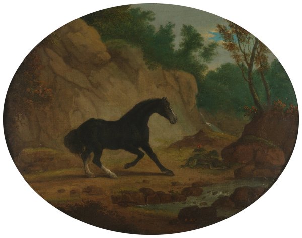 A Horse Frightened by a Snake  by Sawrey Gilpin - Hand-Painted Oil Painting Reproduction