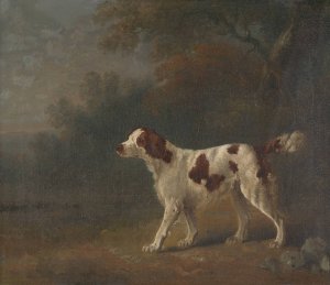 A Setter at the Edge of a Wood by Sawrey Gilpin Oil Painting