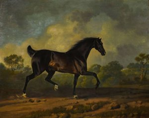 Horse Trotting by Sawrey Gilpin Oil Painting
