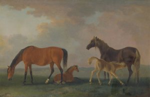 Mares and Foals, facing left by Sawrey Gilpin Oil Painting