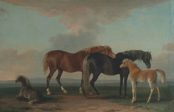 Mares and Foals, facing right  by Sawrey Gilpin - Hand-Painted Oil Painting Reproduction