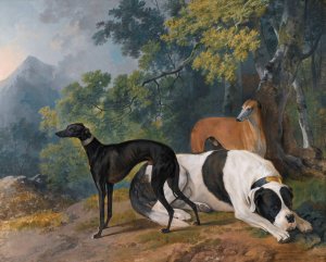 Two Greyhounds And A Mastif Belonging To The Duke Of Hamilton by Sawrey Gilpin Oil Painting