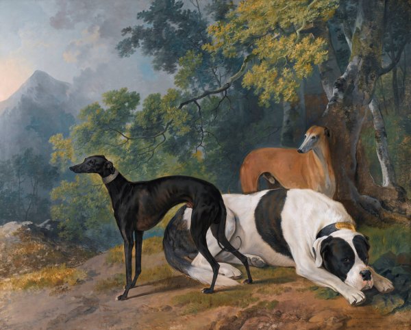 Two Greyhounds And A Mastif Belonging To The Duke Of Hamilton  by Sawrey Gilpin - Hand-Painted Oil Painting Reproduction