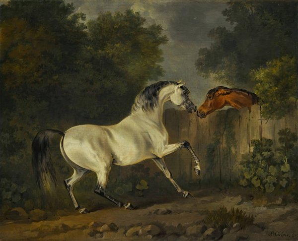 Two Horses By A Fence  by Sawrey Gilpin - Hand-Painted Oil Painting Reproduction