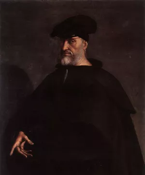 Portrait of Andrea Doria Oil painting by Sebastiano Del Piombo