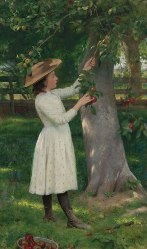 The Pick Of The Orchard by Seymour Joseph Guy Oil Painting