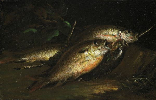 Fish  by Shepard Alonzo Mount - Hand-Painted Oil Painting Reproduction