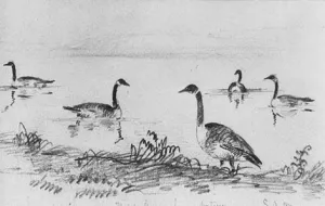 Wild Geese from McGuire Scrapbook by Shepard Alonzo Mount - Oil Painting Reproduction