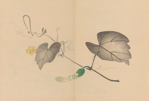 Zeshin iboku tairyukyo gafu, Pl.04 by Shibata Zeshin Oil Painting