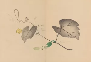 Zeshin iboku tairyukyo gafu, Pl.04 by Shibata Zeshin Oil Painting