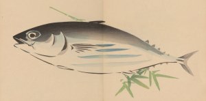 Zeshin iboku tairyukyo gafu, Pl.05 by Shibata Zeshin Oil Painting