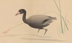 Zeshin iboku tairyukyo gafu, Pl.07 Oil painting by Shibata Zeshin