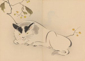 Zeshin iboku tairyukyo gafu, Pl.08 by Shibata Zeshin Oil Painting