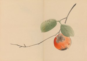 Zeshin iboku tairyukyo gafu, Pl.10 by Shibata Zeshin Oil Painting
