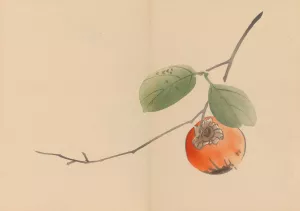 Zeshin iboku tairyukyo gafu, Pl.10 by Shibata Zeshin Oil Painting