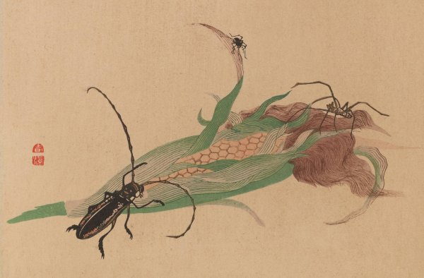 Chuka senzen, Pl.02  by Shunkei Mori - Hand-Painted Oil Painting Reproduction