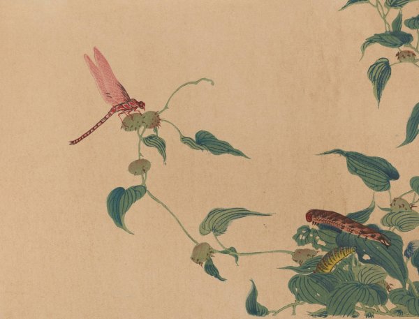 Chuka senzen, Pl.04  by Shunkei Mori - Hand-Painted Oil Painting Reproduction