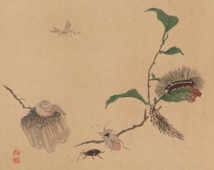 Chuka senzen, Pl.05 by Shunkei Mori Oil Painting