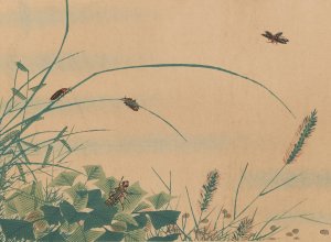 Chuka senzen, Pl.06 by Shunkei Mori Oil Painting