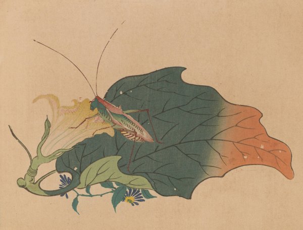 Chuka senzen, Pl.08  by Shunkei Mori - Hand-Painted Oil Painting Reproduction