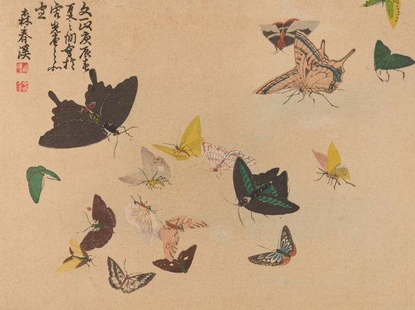 Chuka senzen, Pl.12  by Shunkei Mori - Hand-Painted Oil Painting Reproduction