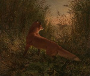 A Fox by Siegwald Dahl Oil Painting