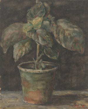 Een potplant by Sientje Mesdag Van Houten Oil Painting