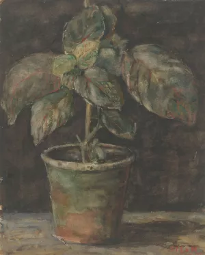 Een potplant by Sientje Mesdag Van Houten Oil Painting