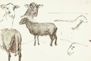Schetsen van schapen by Sientje Mesdag Van Houten Oil Painting