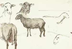 Schetsen van schapen by Sientje Mesdag Van Houten Oil Painting