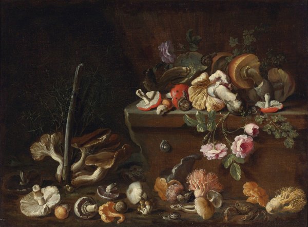 Still Life With Mushrooms And Flowers by Simone Del Tintore - Hand-Painted Oil Painting Reproduction