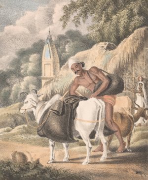 A Bheesty or Water Carrier by Sir Charles D'Oyly Oil Painting