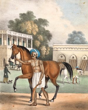 A Syce or Groom by Sir Charles D'Oyly Oil Painting