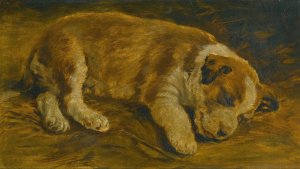 A Puppy Sleeping by Sir Edwin Henry Landseer (Follower) Oil Painting